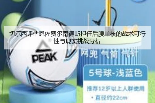 切尔西评估恩佐费尔南德斯担任后腰单核的战术可行性与现实挑战分析